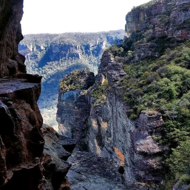 The Blue Mountains Glow Worm Tunnel, New South Wales