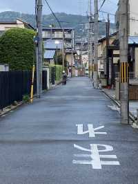 Biking Around Kyoto: A Different View of the City