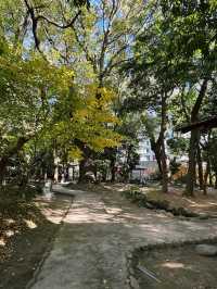 Serenity and History at Ikuta Jinja in Kobe