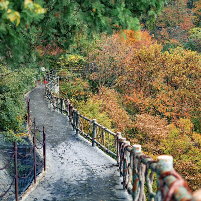 少华山 (Shao Hua Mountain)