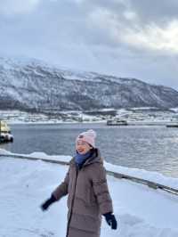 Whale Watching; Must Do in Tromso