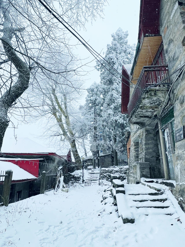 廬山雪景|這個冬天我們一起相約廬山看雪景