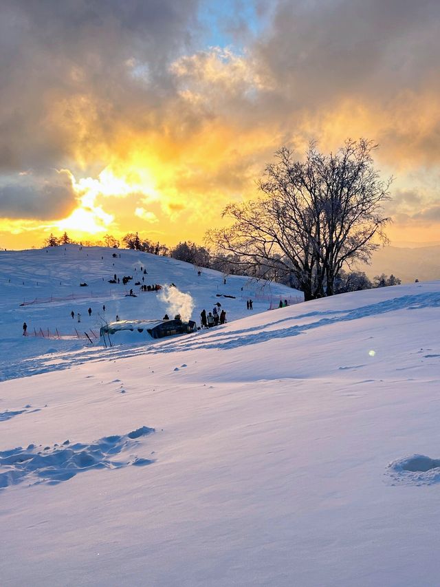 這裡不是挪威芬蘭！這裡是東北雪谷霧凇嶺！！！