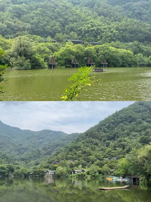 富春芳草地|住進百畝依山傍水的天然林地裡