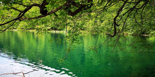 巴爾幹之旅（24）歷史名城-扎達爾&「歐洲九寨溝」-十六湖國家公園