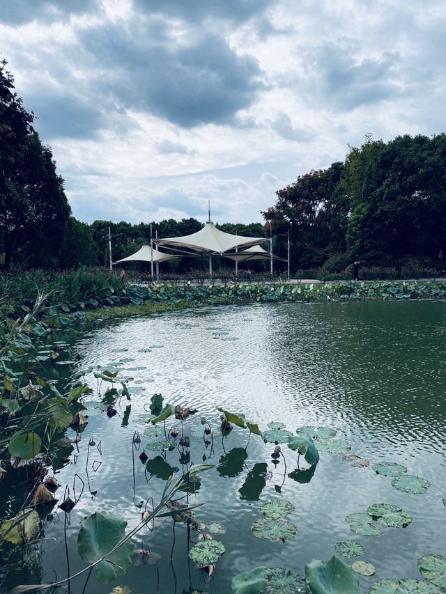 江蘇·太倉思鈿月季公園/月季夫人蔣恩細紀念館。