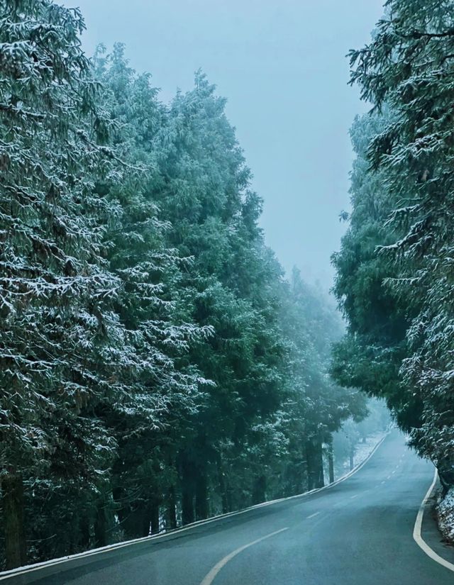 仙女山：塵世之外的綠野仙蹤