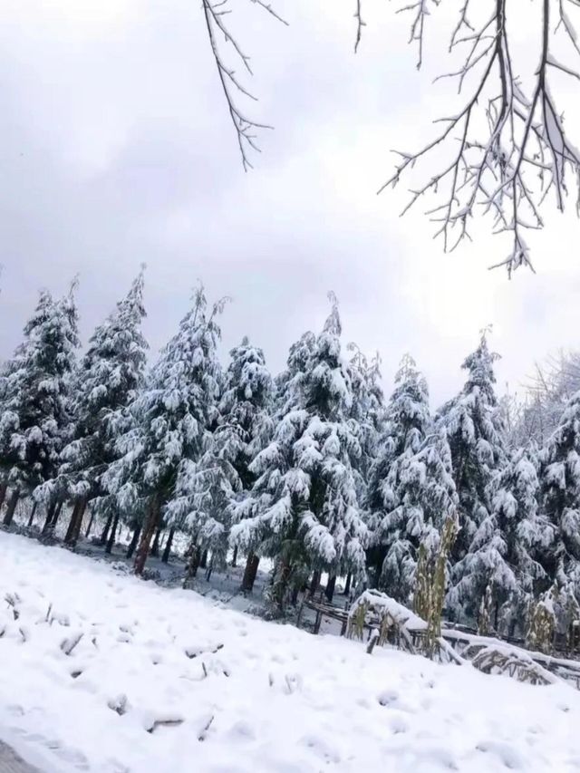 成都附近玩雪好去處