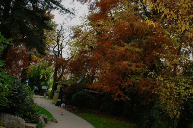 南特日式花園：法蘭西土地上的東方禪意