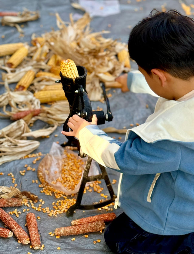 冬天來烏村玩什麼冬季活動看過來