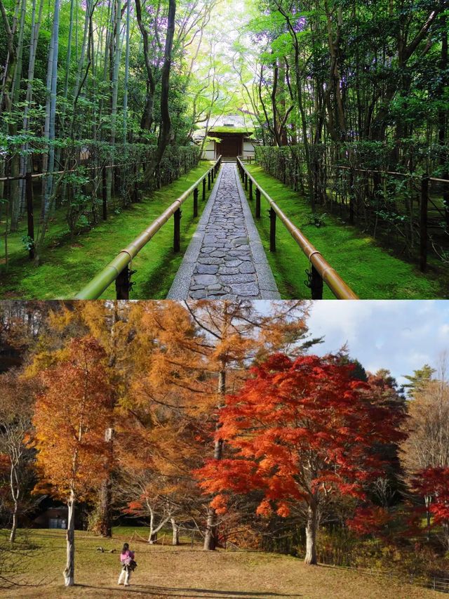 探秘日本長野，絕美風光等你來