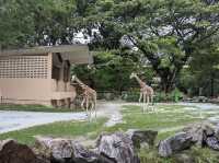 National Zoo of Malaysia