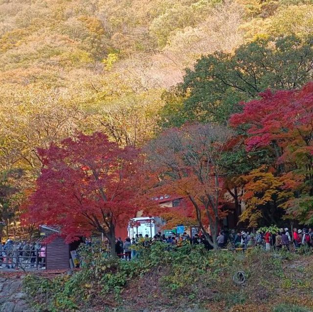 秋天韓國內藏山賞楓