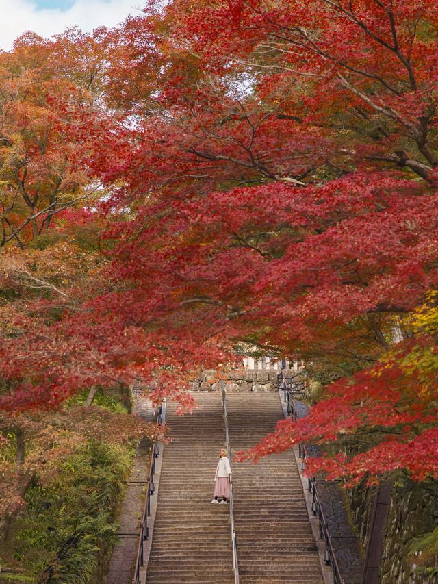 ใบไม้เปลี่ยนสีที่วัดน้ำใส Kiyomizu-Dera Temple 🍁