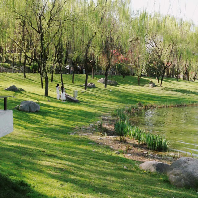 深圳內湖公園：自然與寧靜的綠洲 🌳🏞️