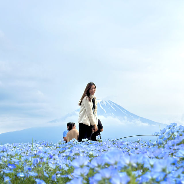 被花包圍的富士山