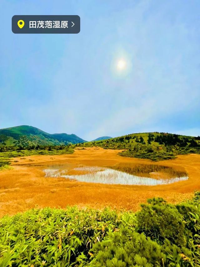 【秋の絶景】紅葉が美しい八甲田ロープウェー🚠⛰🍁