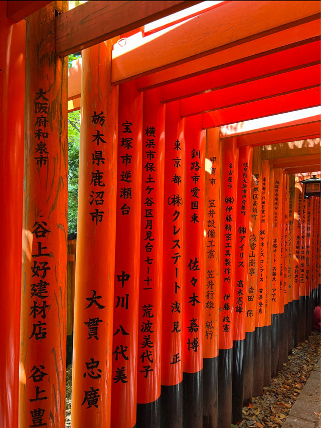 The Iconic Fushimi Inari Shrine in Kyoto ⛩️🦊🇯🇵