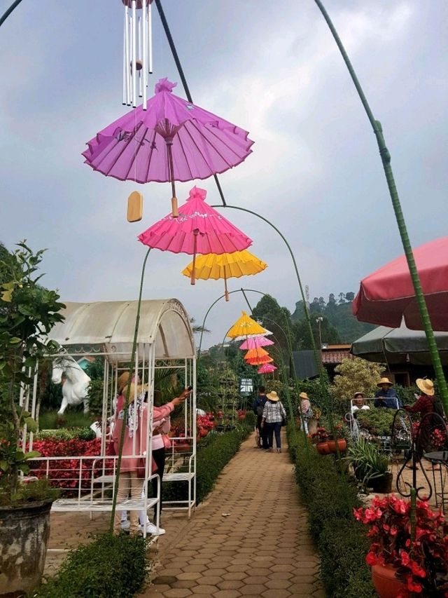 MUST VISIT : BEGONIA GARDEN, BANDUNG