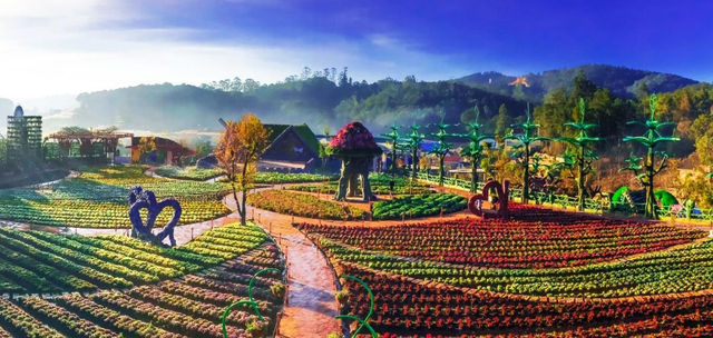 Exploring the Culinary Culture, Landscape, and People of Da Lat