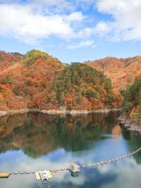 【栃木】自然の彩りの癒し旅