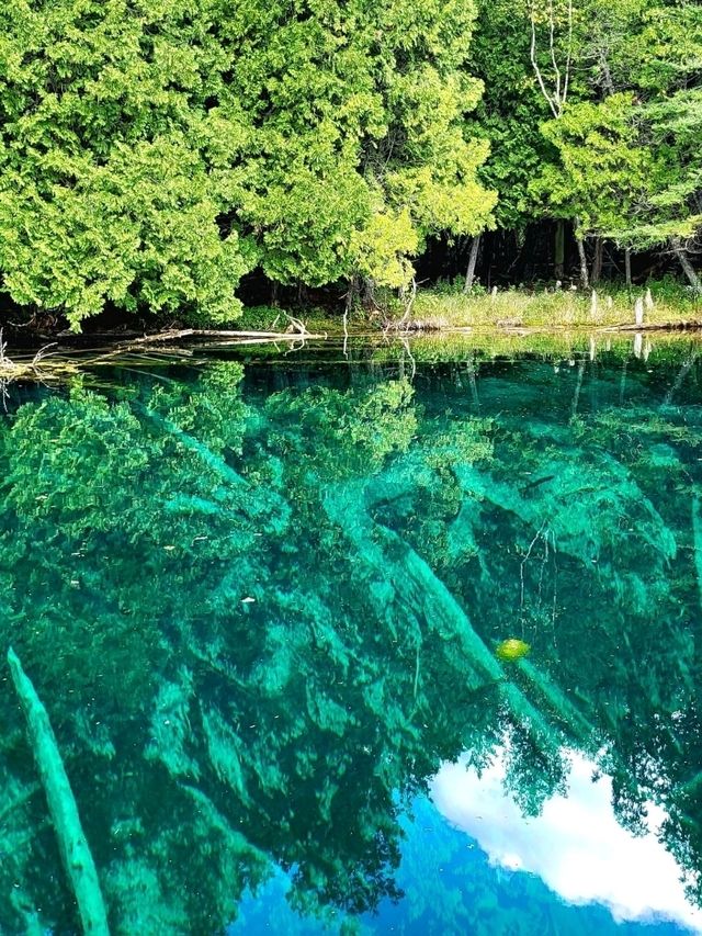 Riding a self-driven raft across Kitch-iti-kipi Spring is a magical experience