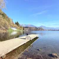 斯洛維尼亞，布萊德湖（Lake Bled）