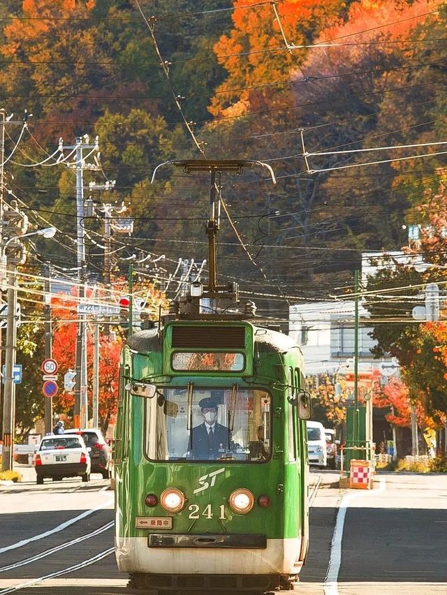 北海道秋季紅葉奇景 — 探索日本賞紅葉季的絕美勝地。