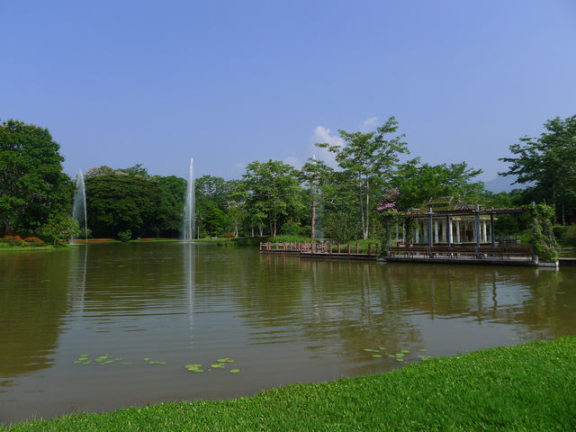 景洪·熱帶植物園西區——園藝的巔峰之作。