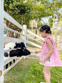 成都周邊1小時夢幻遊樂園採摘餵動物…。