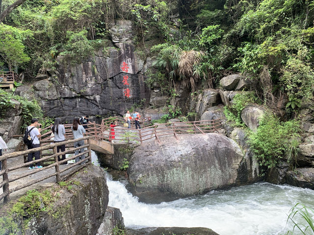 黃滿寨瀑布一日遊。