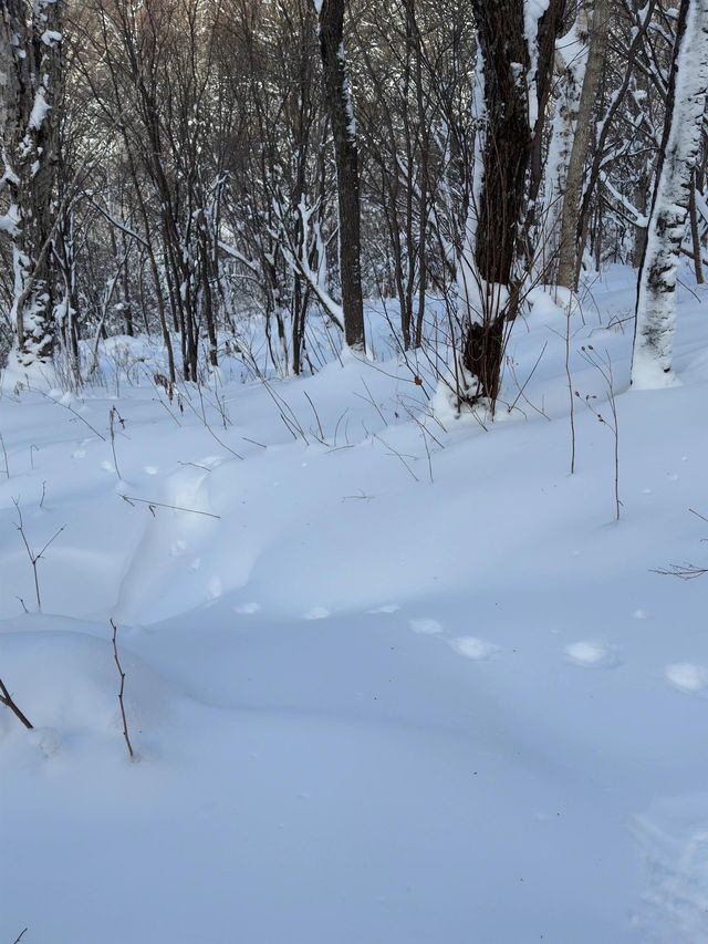 雪谷嘉鑫客棧