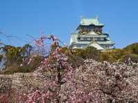 大阪城公園の魅力や楽しみ方は？天守閣、ランチスポット、アクセスなど徹底ガイド