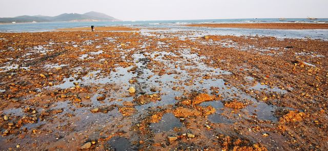 葫蘆島•龍灣海濱風景區