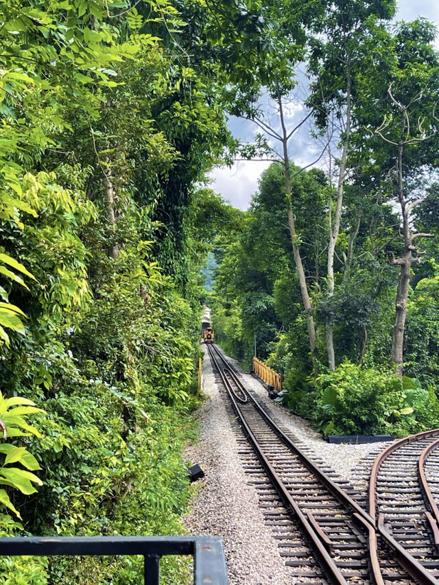 綠野鐵道：森林小火車的悠然時光