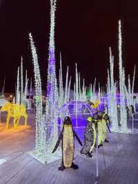 Explore the Illumi Light Show in Mississauga