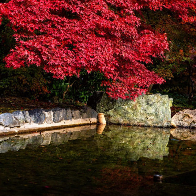 京都西芳寺：禪意深遠的幽靜花園