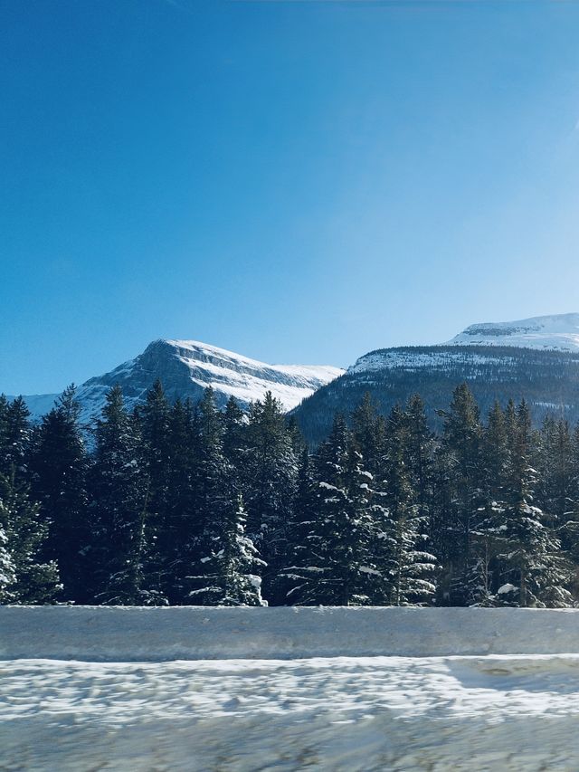 呢一幅雪景，係咪令你有衝動想去班夫？