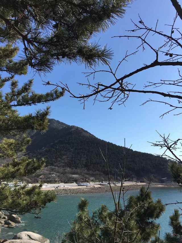 一「魯」生花（一）——山東·嶗山