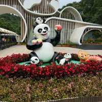 Why visit Panda Valley instead of ChengDu Panda Base?