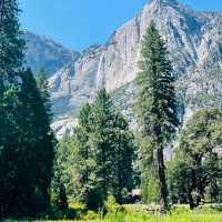 Nature’s Majestic Canvas Unfolds at Yosemite – Where Every Trail Leads to Wonder!