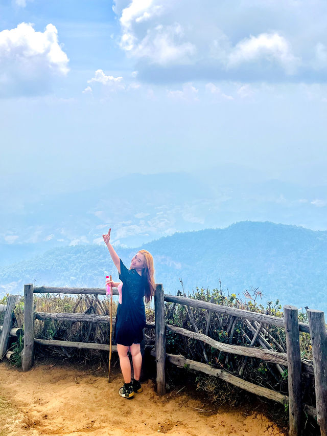 Trekking Day At Doi Inthanon National Park (Kew Mae Pan Nature Trail) ⛰️🍃