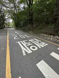 Forest nature feel in the midst of Seoul 