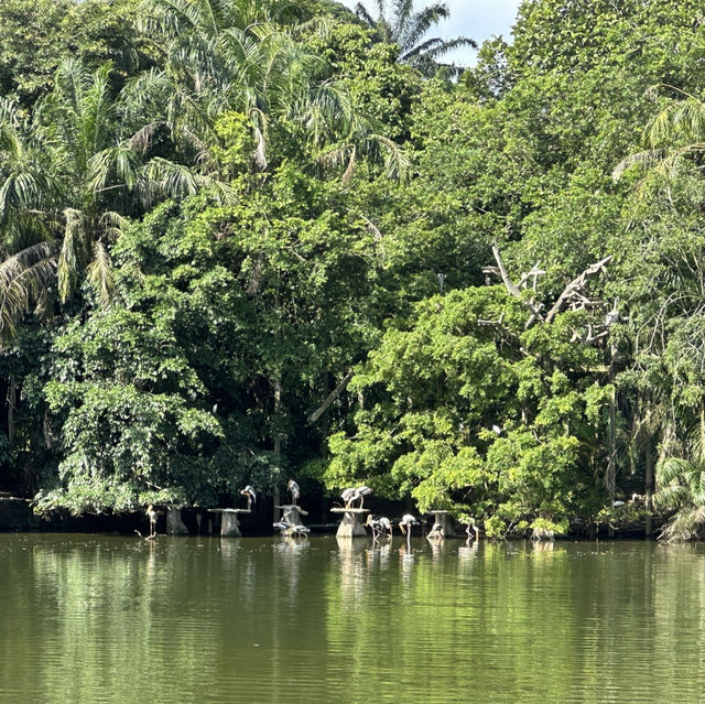 Animal Encounters and Endless Fun: My Zoo Negara Experience!