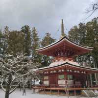 【和歌山】壇上伽藍