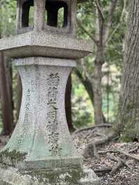 Exploring the Majestic Fushimi Inari Shrine