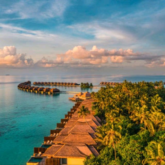 Explore the magic of nature @ Maldive's beaches!