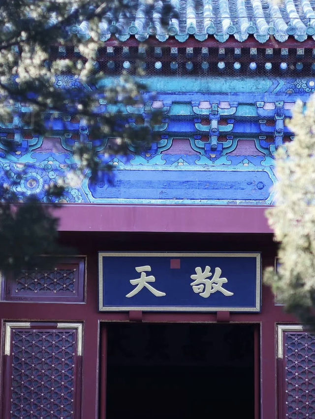 Temple of Heaven: Beijing’s Timeless Harmony