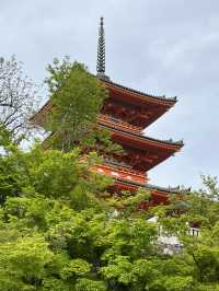 Kyoto｜ Kiyomizu-dera, the must visit temple in Koyto