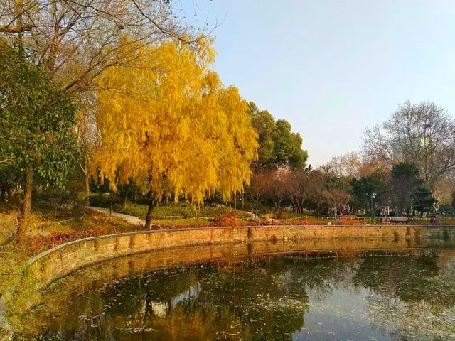 上海這個公園，藏著6座日本人造的彈藥庫